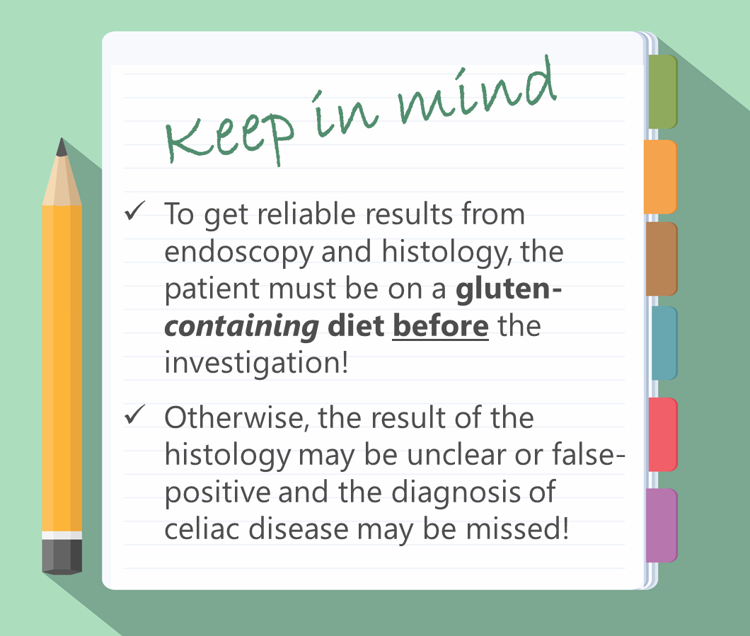 Celiac Facts For Patients Lesson How Does The Physician Test For