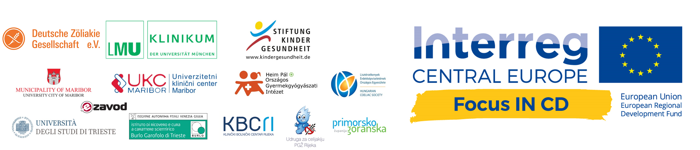 Logo Interreg Central Europe Project Focus IN CD and Partner Logos
