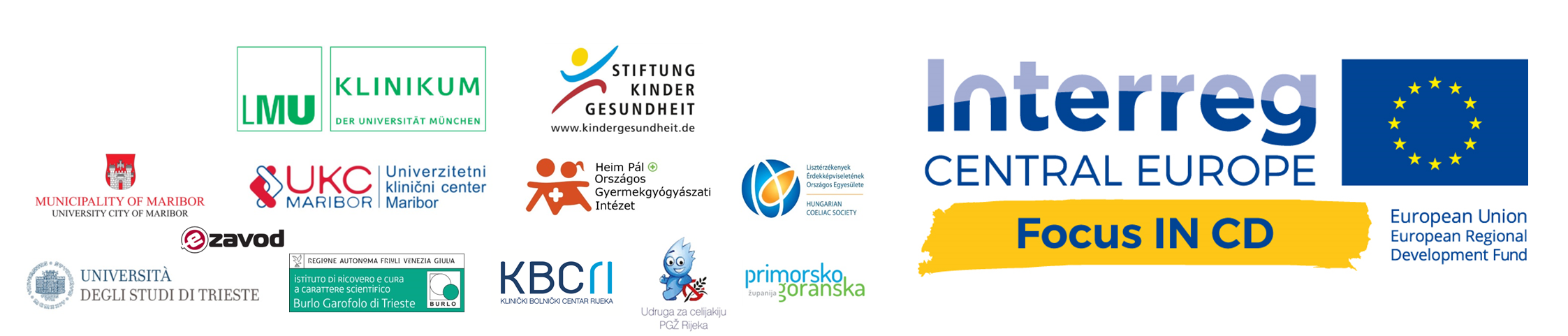 Focus IN CD Projektlogo und die Logos der zwölf Projektpartner aus Deutschland, Slowenien, Ungarn, Kroatien und Italien