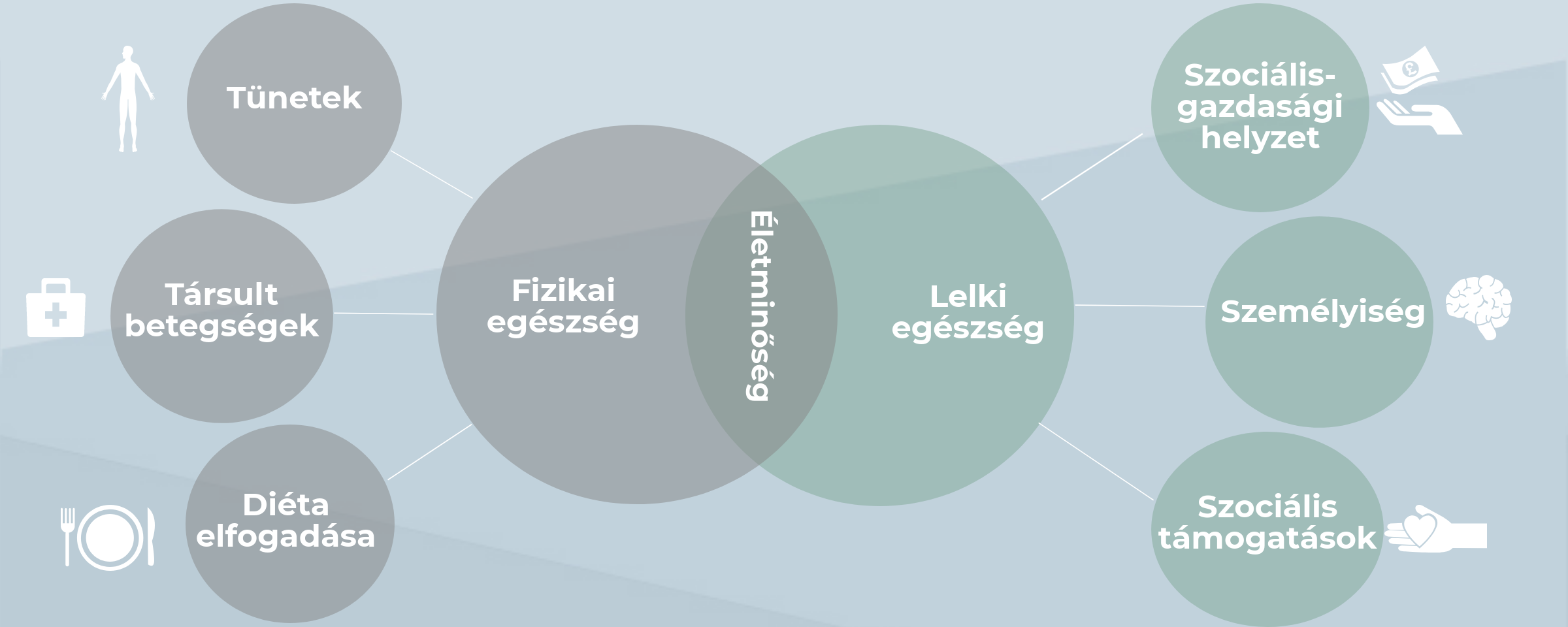 Figure 14 - Determinants of quality of life