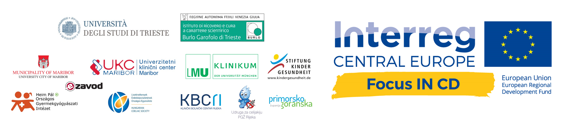 Partnership Logos Focus IN CD Project
